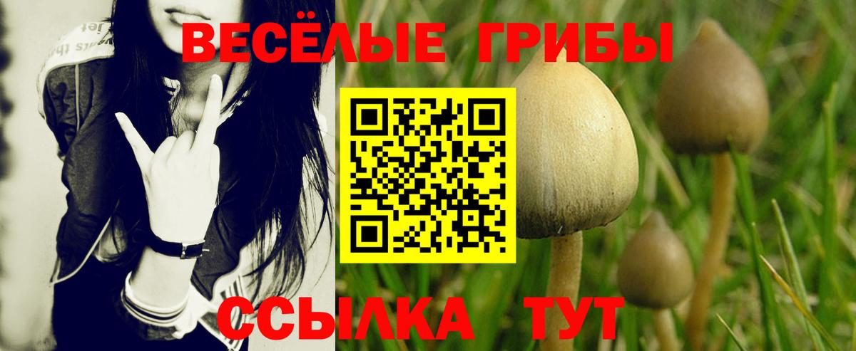 Барабинск  Псилоцибиновые грибы Magic Shrooms  купить наркотик  Вход с VPN 